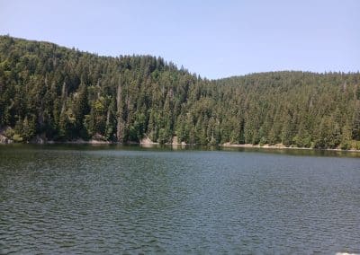 SORTIE VTTAE du  25 juillet 2026 :  – LE circuit des lacs