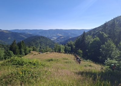 Repas bénévoles Tour de la Vallée