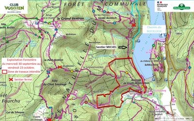 Travaux forêt communale de FELLERING autour du chemin du BOURBACH