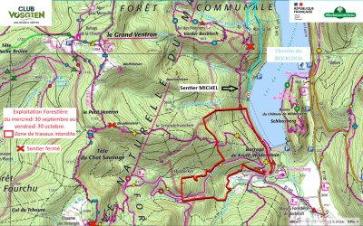 Travaux forêt communale de FELLERING autour du chemin du BOURBACH